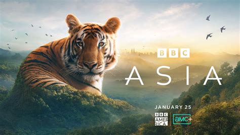 asiapinay.com|PINAYREEL.TV .
